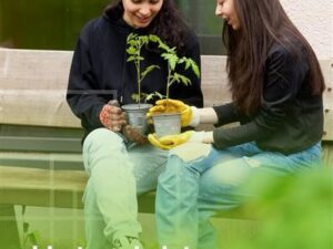 Dr.-Walter-Bruch-Schule – Unterricht für die Zukunft